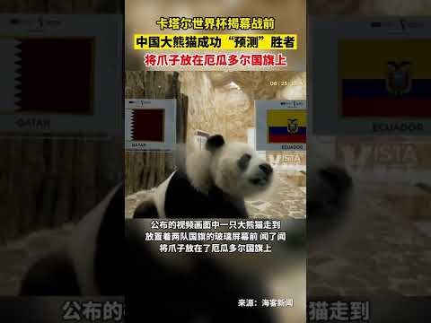 那不勒斯意,甲击败,米兰,乐竞体育官网,乐竞体育官网入口,乐竞体育网站,乐竞体育官网娱乐,乐竞体育,乐竞体育登录入口